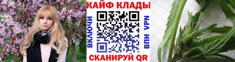 Где купить наркотики Котовск Псилоцибиновые грибы  Героин  Мефедрон  МАРИХУАНА  ОМГ ОМГ ссылки  Alpha-PVP  Гашиш 