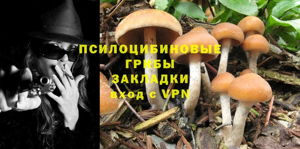 a pvp Абаза