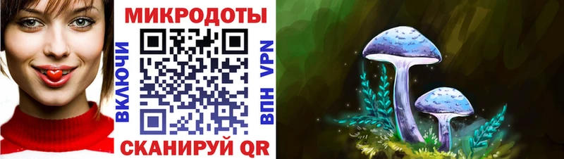 Галлюциногенные грибы Magic Shrooms Котовск